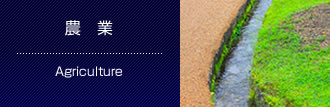 農　業
