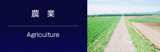 農　業