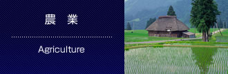 農 業