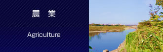 農　業